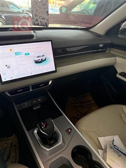 جیتۆر داشينگ